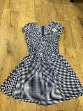 Blue Gingham Smocked Mini Dress with Flutter Sleeves
